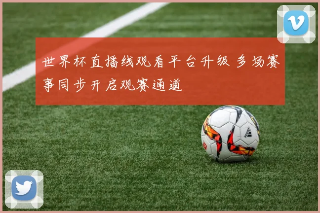 世界杯直播线观看平台升级 多场赛事同步开启观赛通道